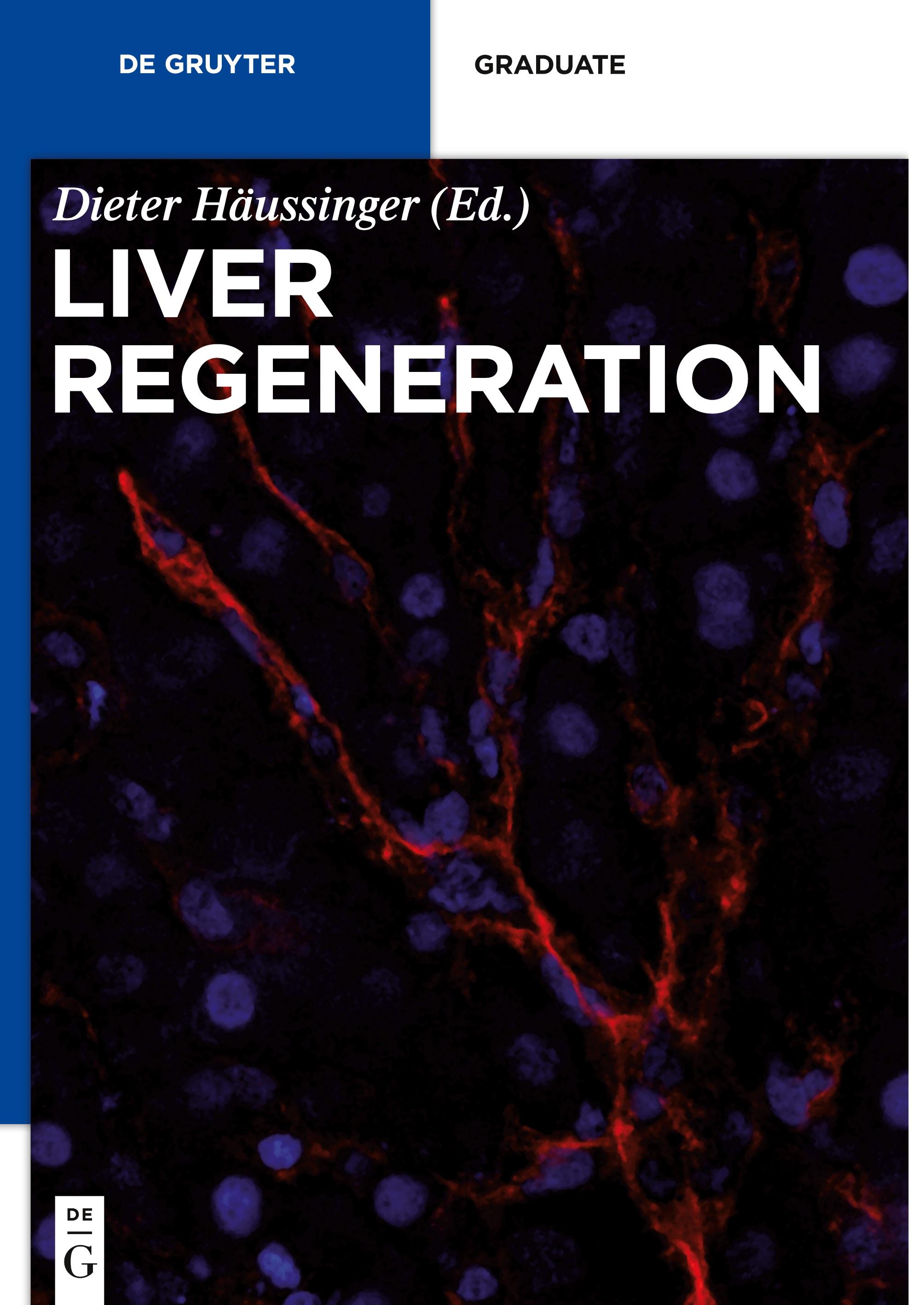 Liver Regeneration