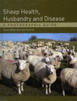 Sheep Health, Husbandry and Disease