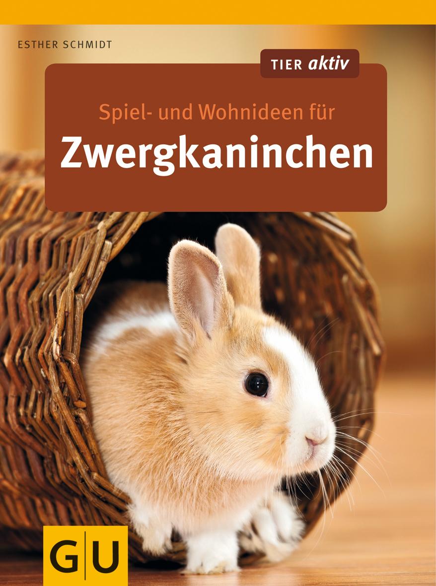 Spiel- und Wohnideen für Zwergkaninchen