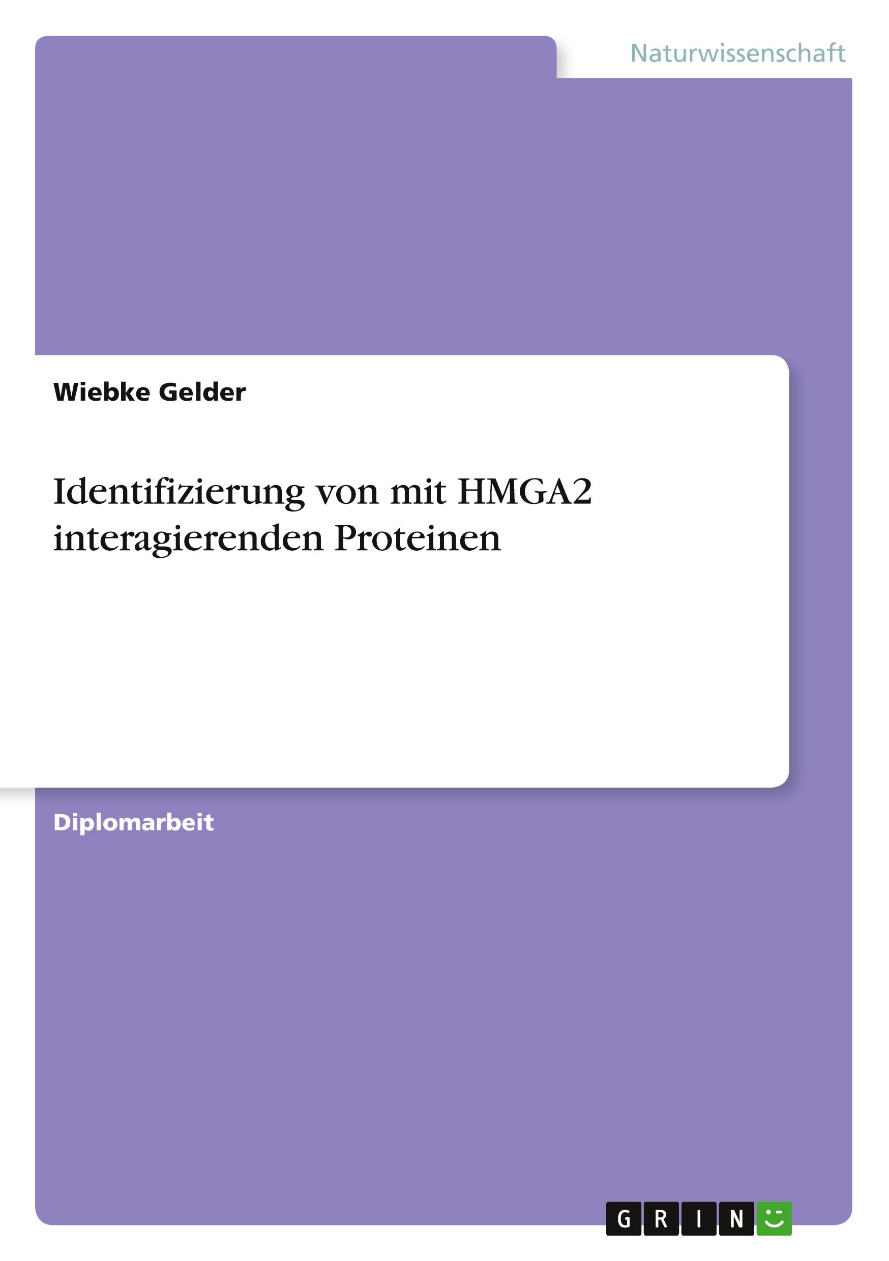 Identifizierung von mit HMGA2 interagierenden Proteinen