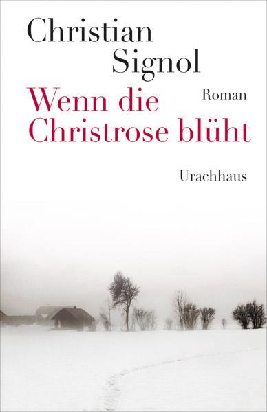 Wenn die Christrose blüht