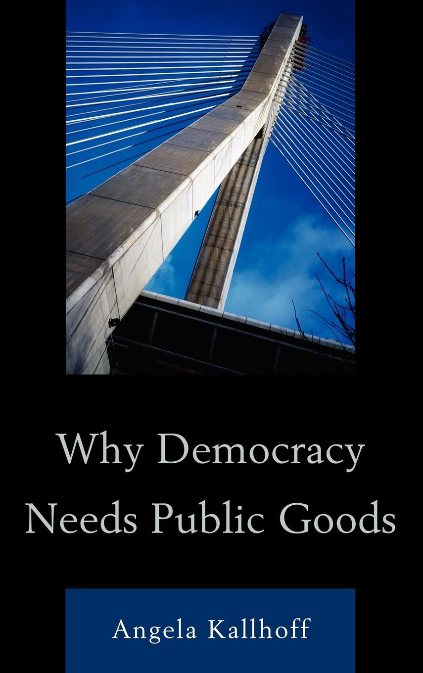 Why Democracy Needs Public Goods