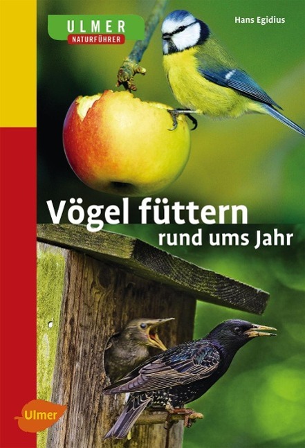 Vögel füttern rund ums Jahr