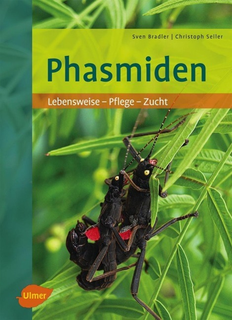 Phasmiden