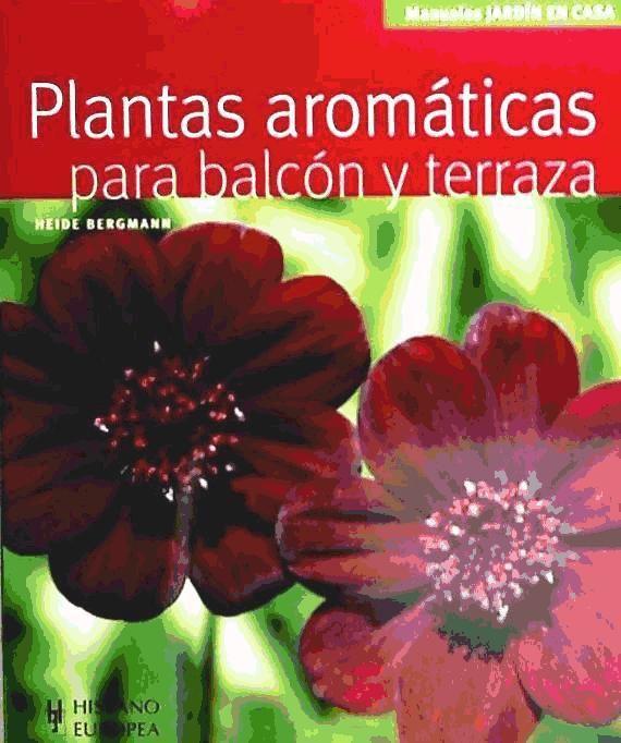 Plantas aromáticas para balcón y terraza