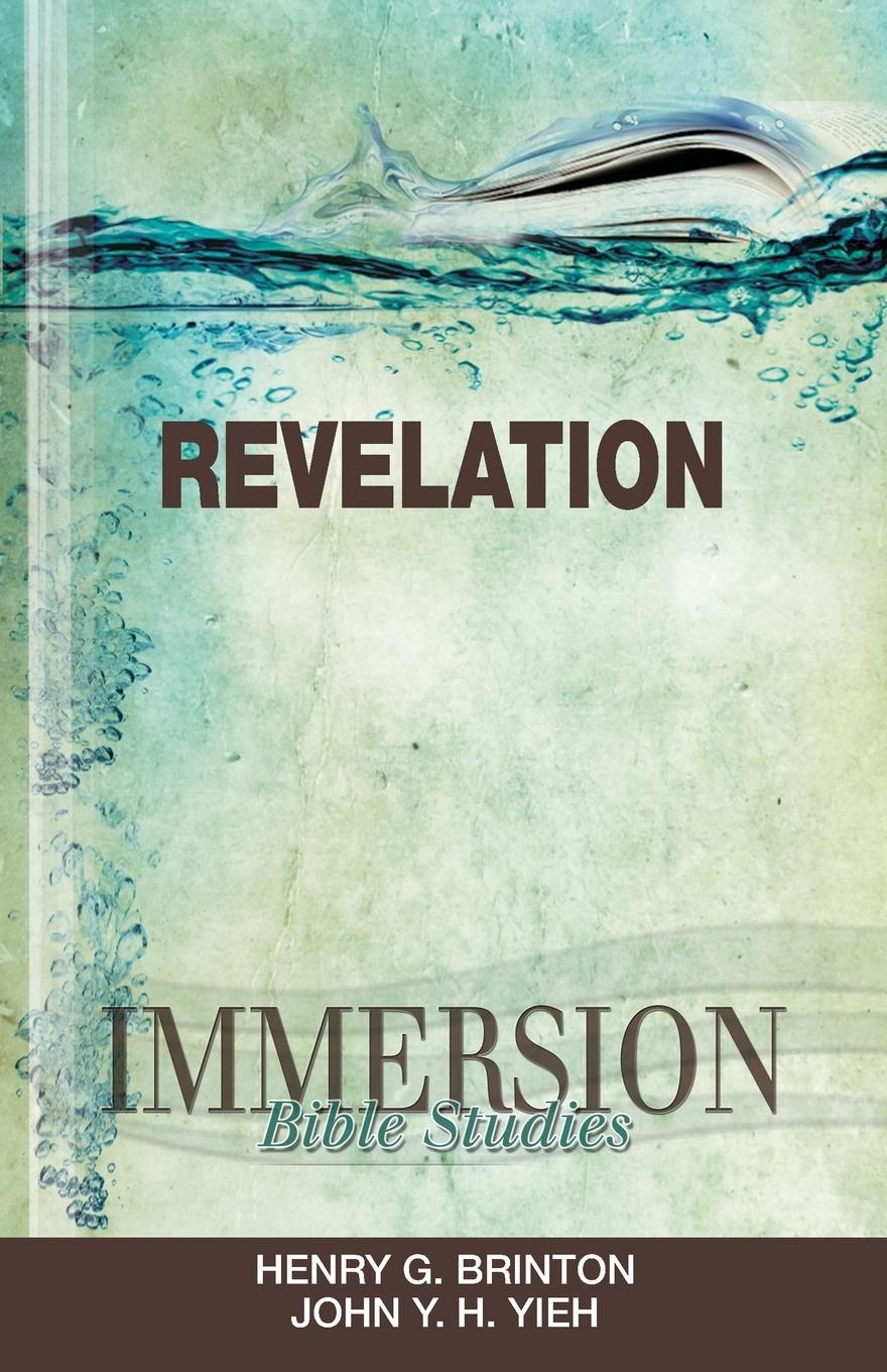 Immersion Revelation