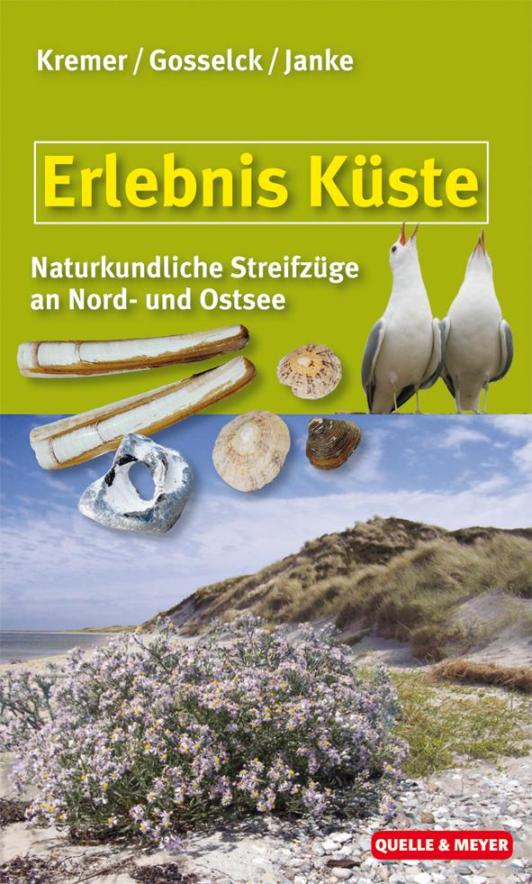 Erlebnis Küste