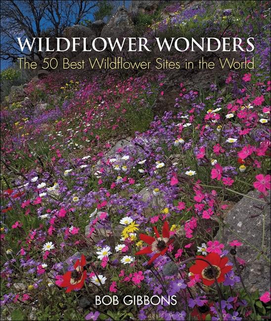 Wildflower Wonders