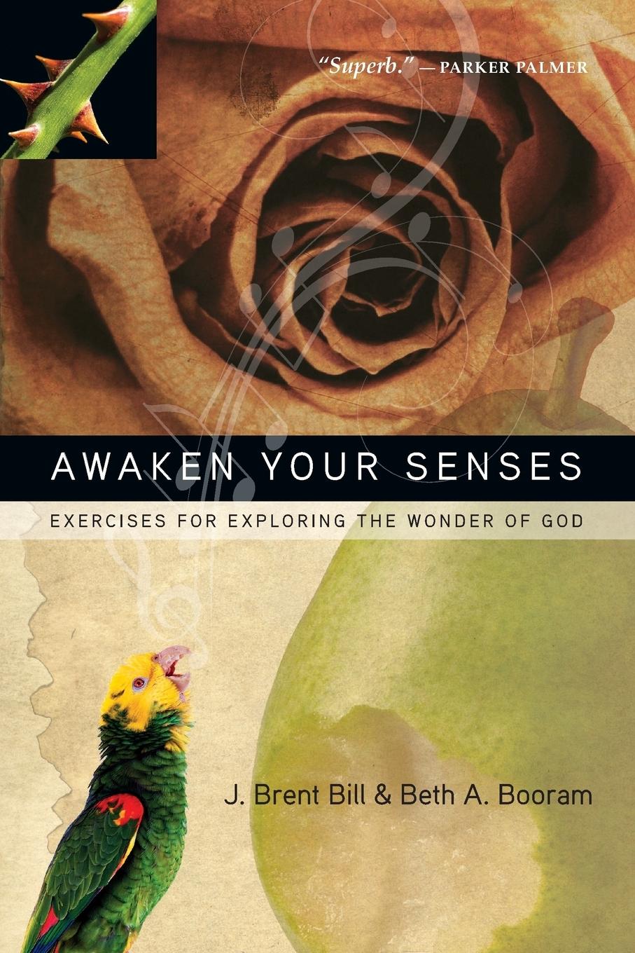 Awaken Your Senses