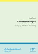 Erneuerbare Energien: Erzeugung, Vertrieb und Finanzierung