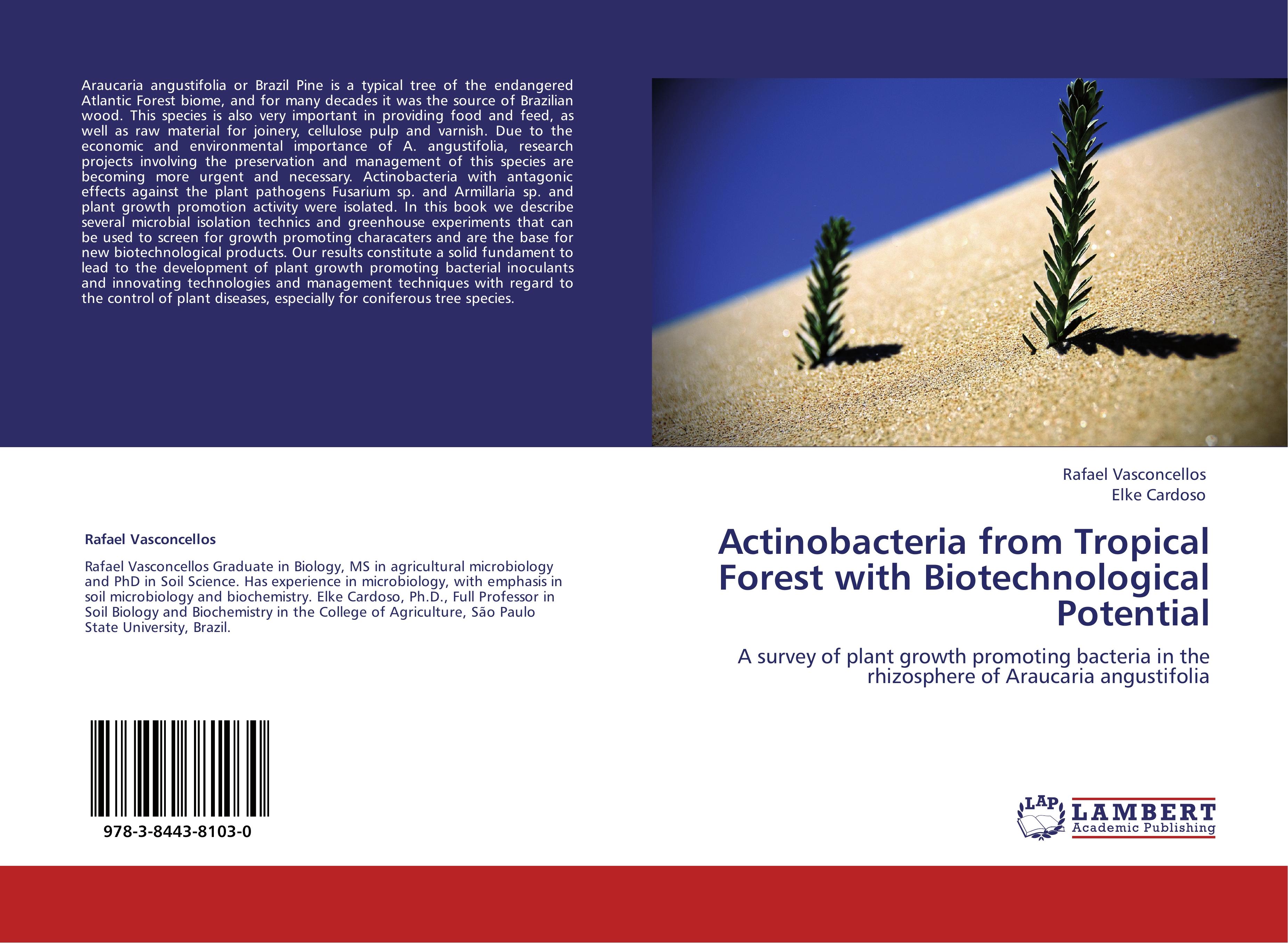 Actinobacteria from Tropical Forest with Biotechnological Potential