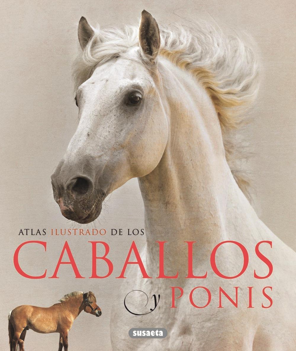 Caballos y ponis