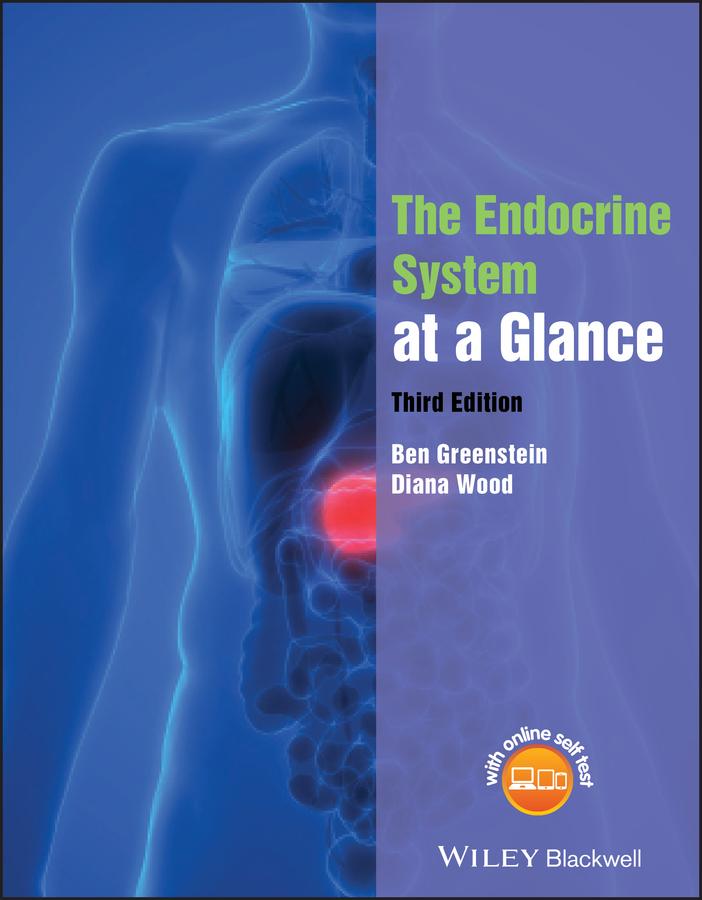 The Endocrine System at a Glance