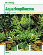 Ihr Hobby Aquarienpflanzen