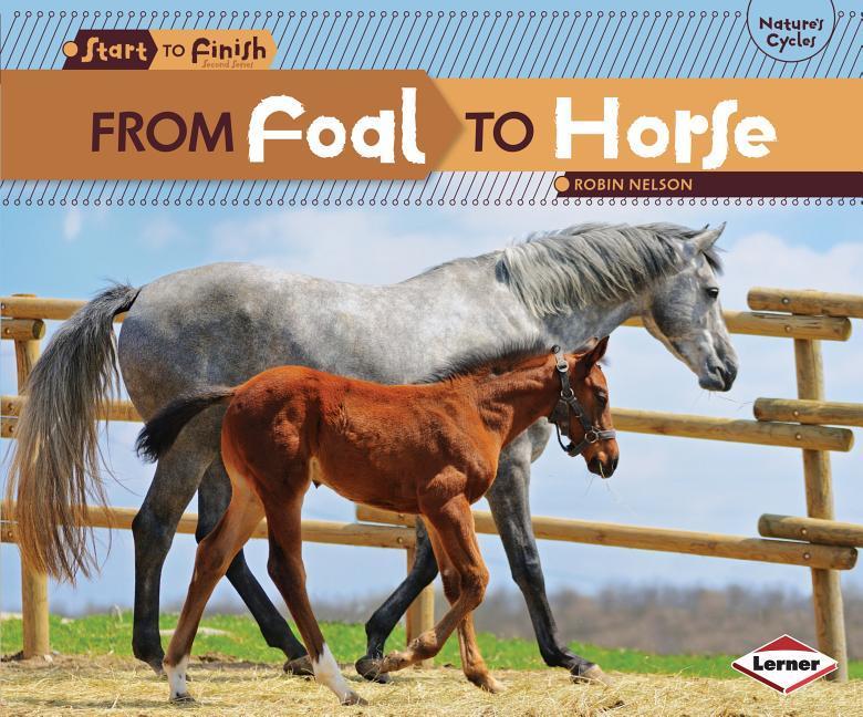 From Foal to Horse