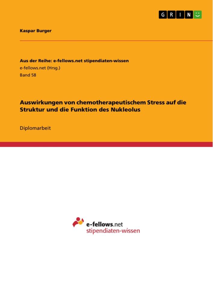 Auswirkungen von chemotherapeutischem Stress auf die Struktur und die Funktion des Nukleolus