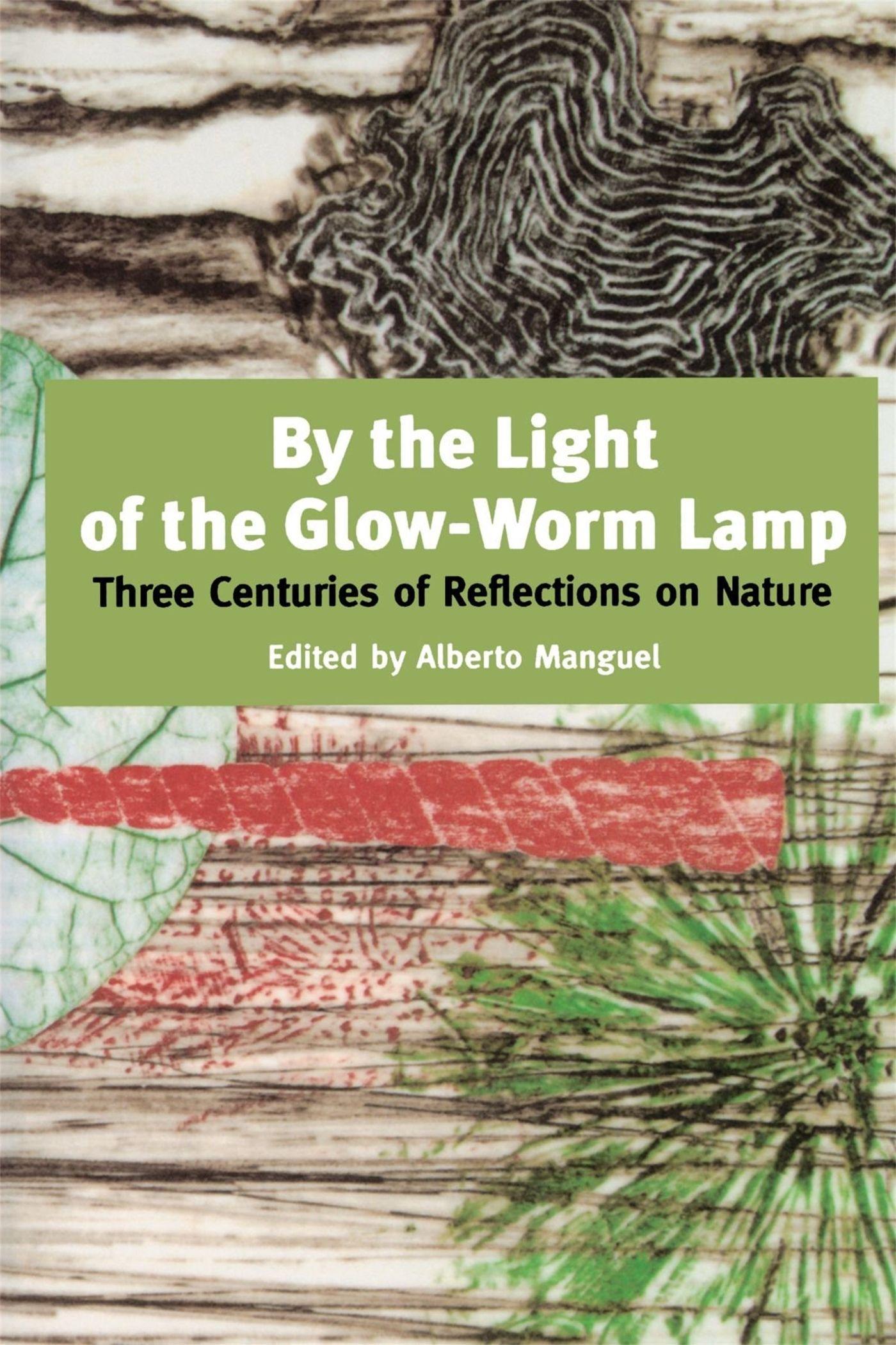 By the Light of the Glow-Worm Lamp