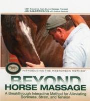 Beyond Horse Massage