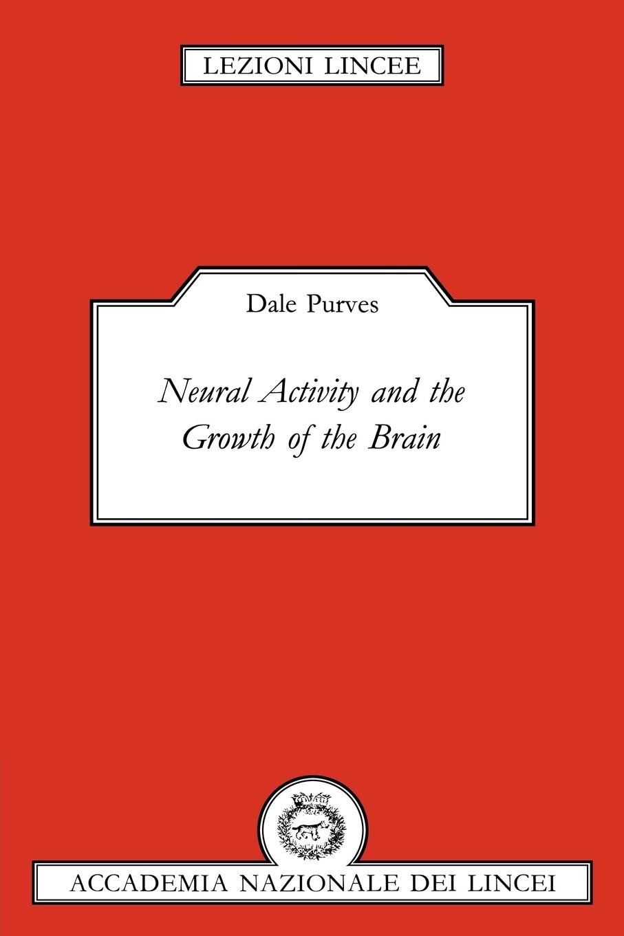 Neural Activity and the Growth of the Brain