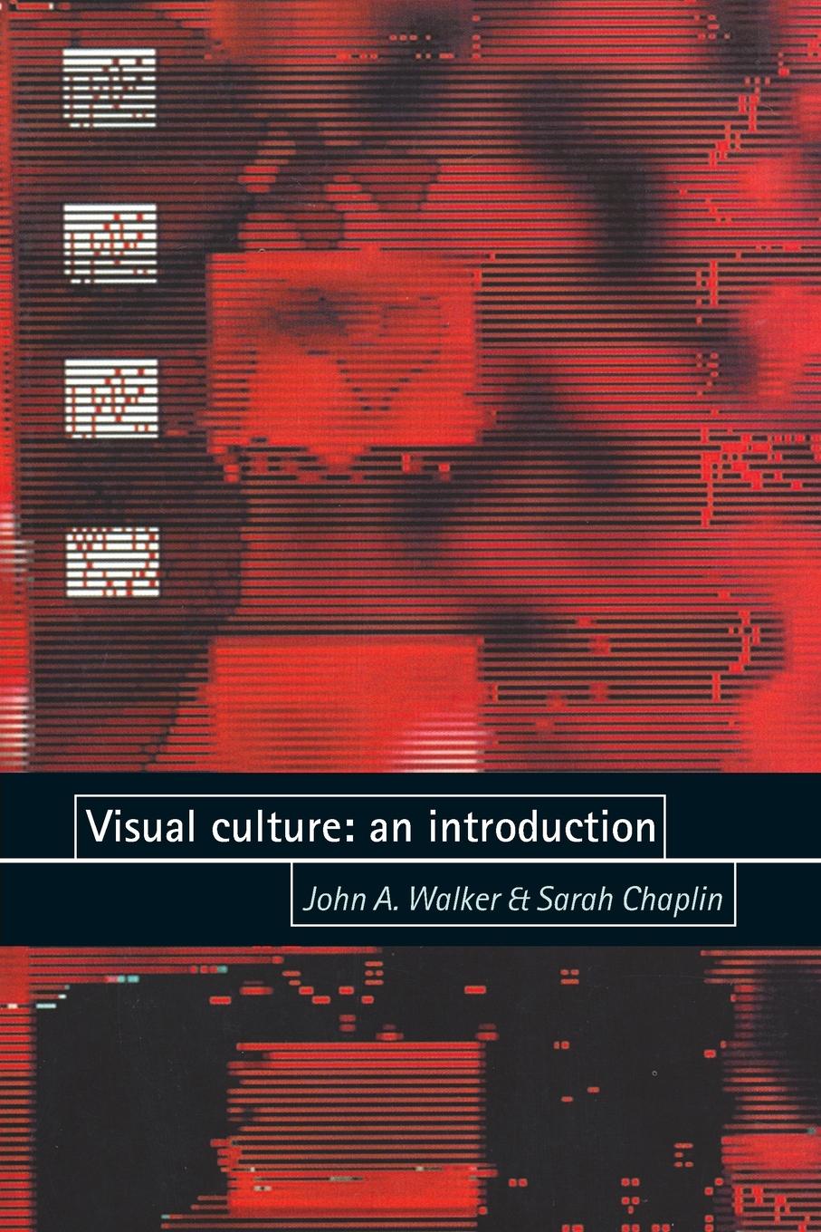 Visual culture