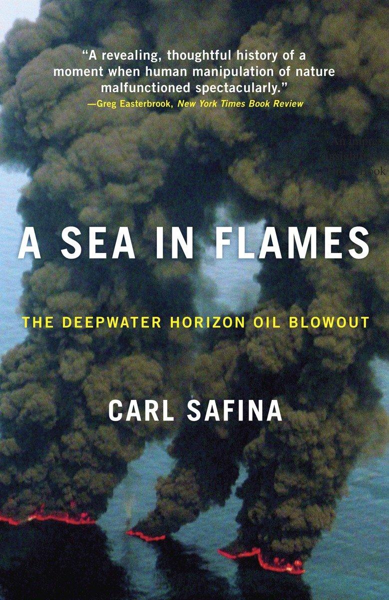 A Sea in Flames