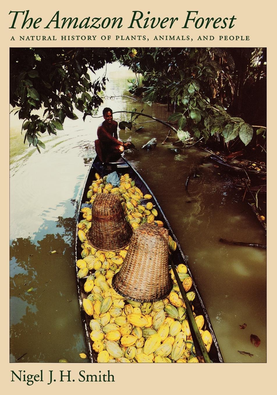 The Amazon River Forest