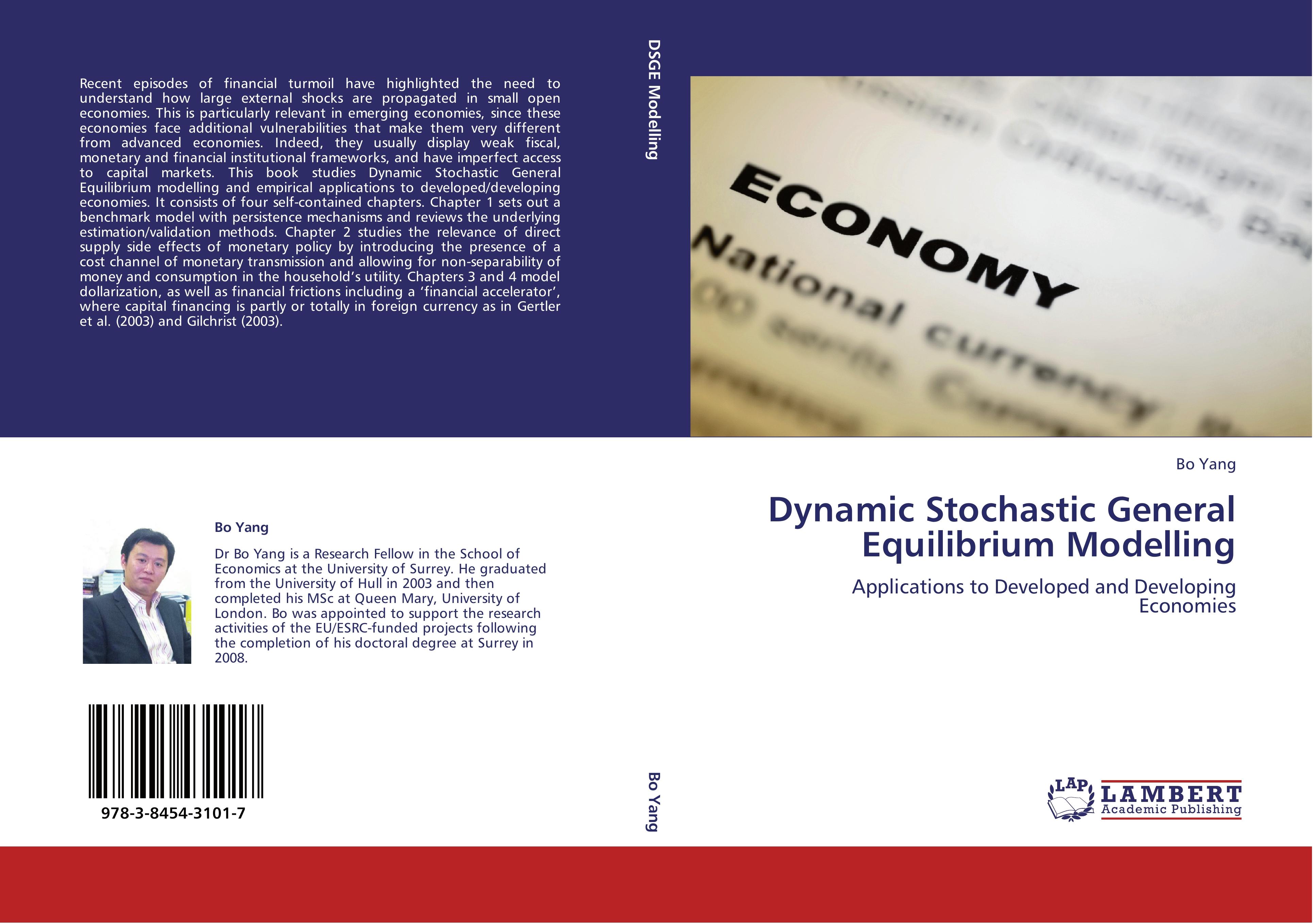 Dynamic Stochastic General Equilibrium Modelling