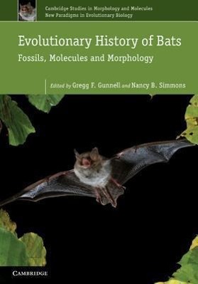 Evolutionary History of Bats