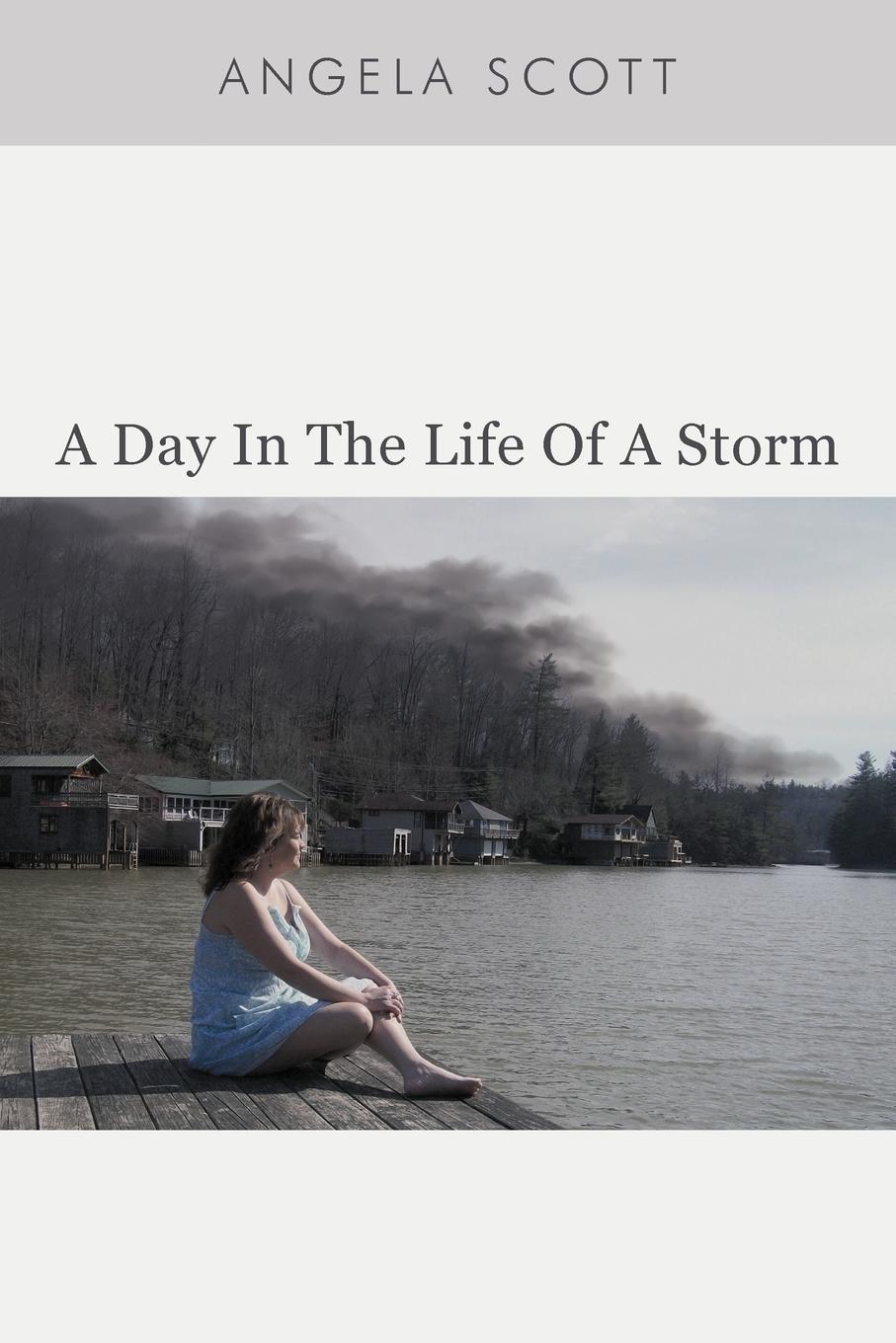 A Day in the Life of a Storm