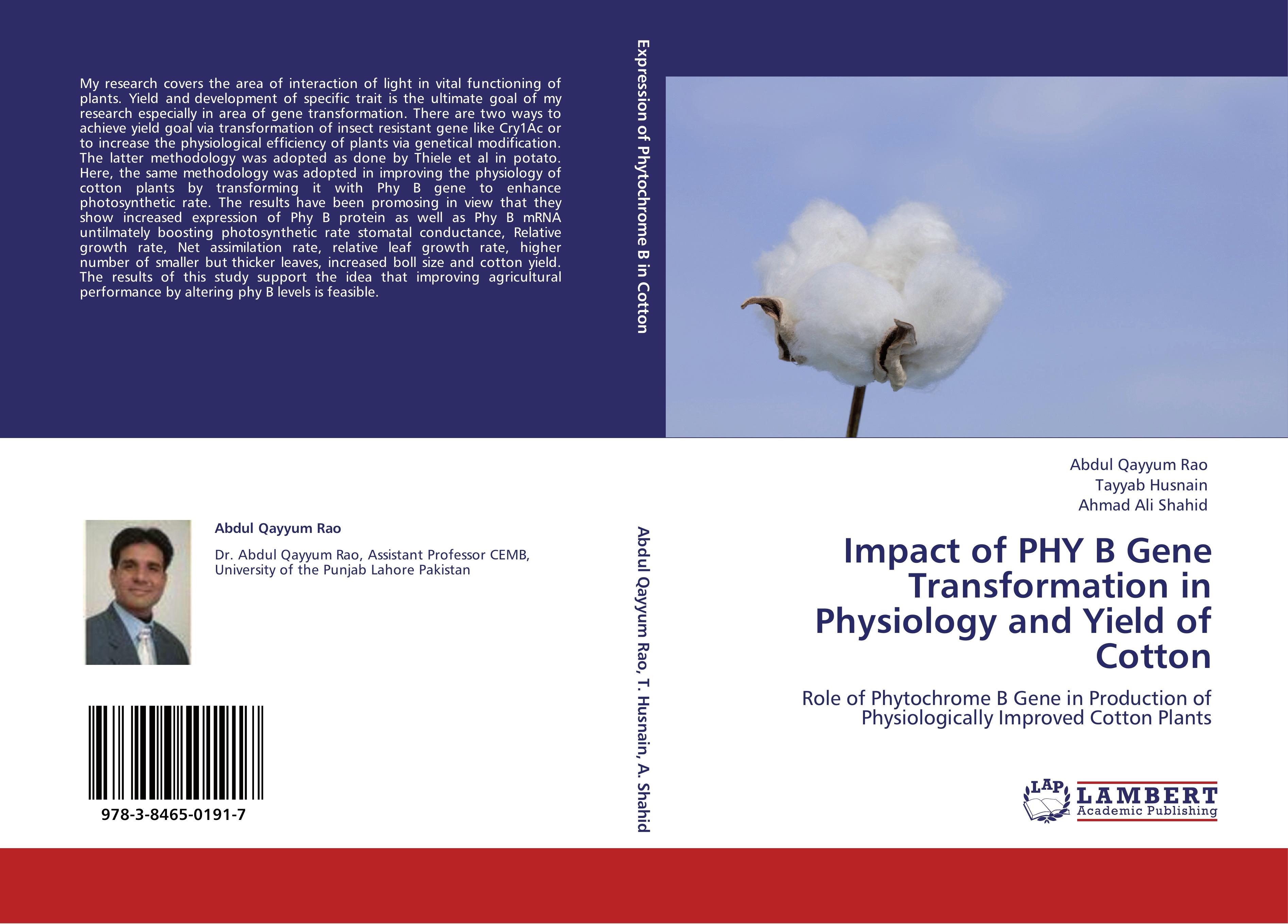 Impact of PHY B Gene Transformation in Physiology and Yield of Cotton