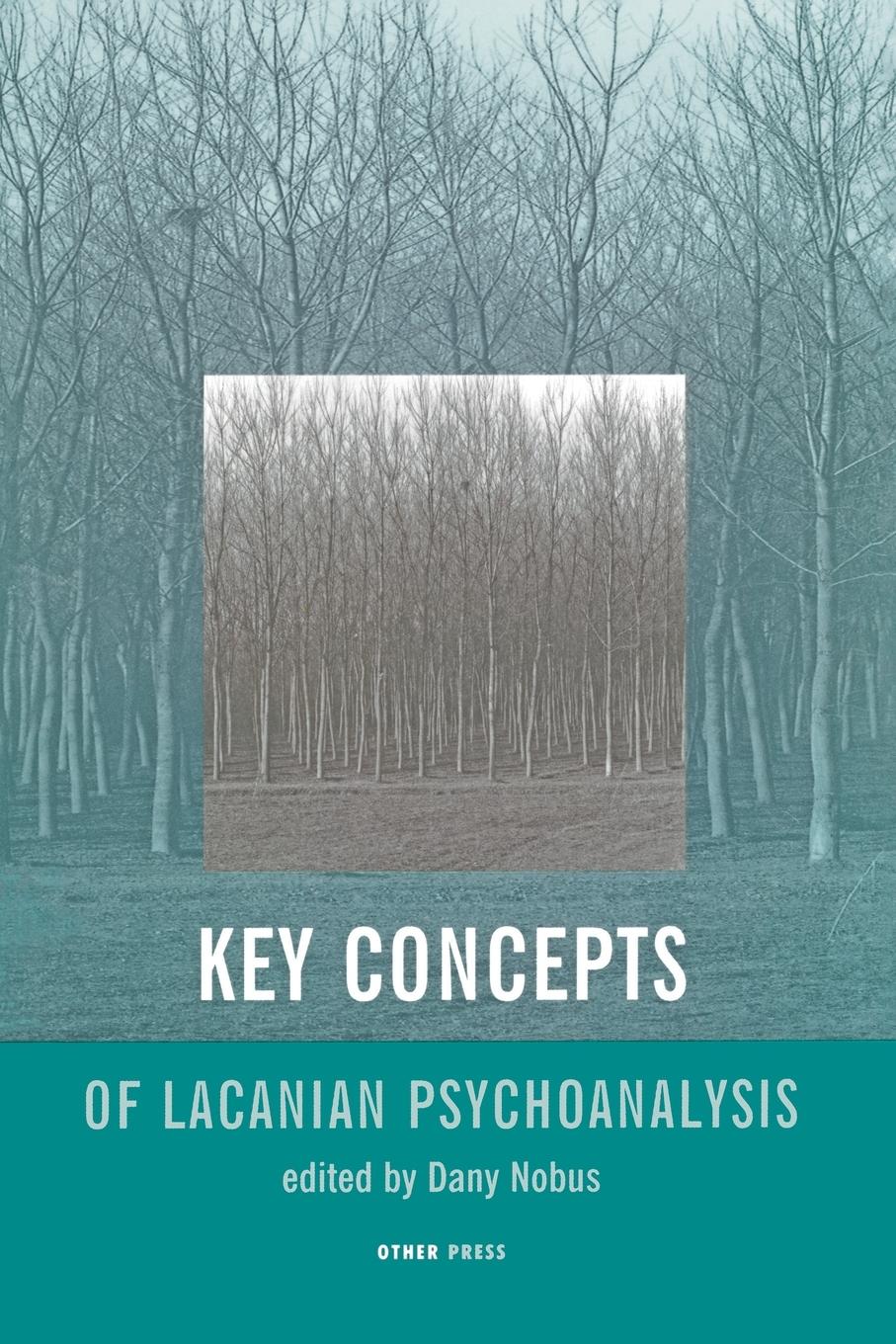 Key Concepts of Lacanian Psychoanalysis