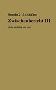 Zwischenbericht III