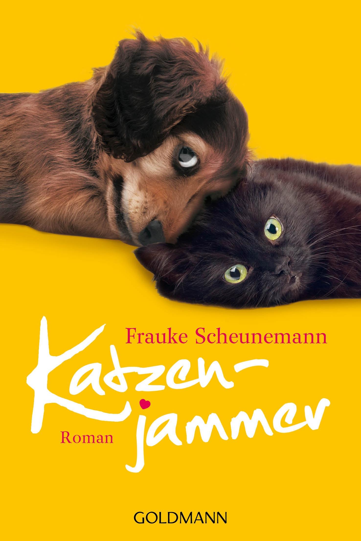 Katzenjammer