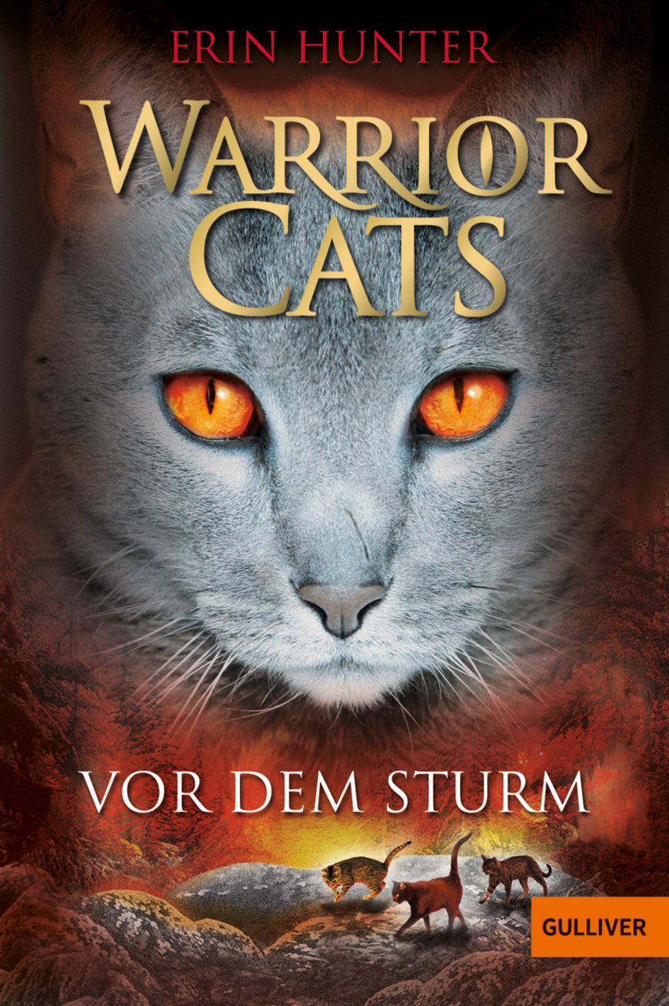 Warrior Cats Staffel 1/04. Vor dem Sturm