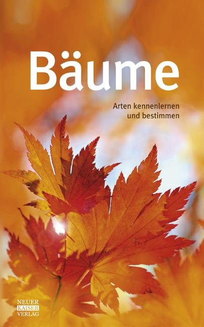 Bäume