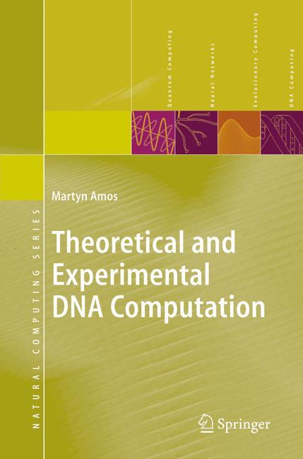 Theoretical and Experimental DNA Computation