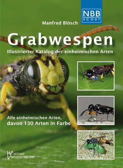 Grabwespen