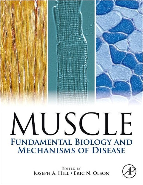 Muscle 2-Volume Set