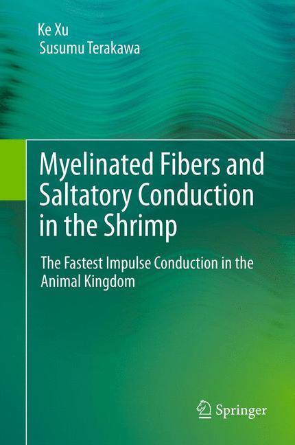 Myelinated Fibers and Saltatory Conduction in the Shrimp