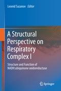 A Structural Perspective on Respiratory Complex I