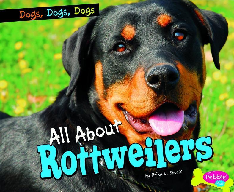 All about Rottweilers