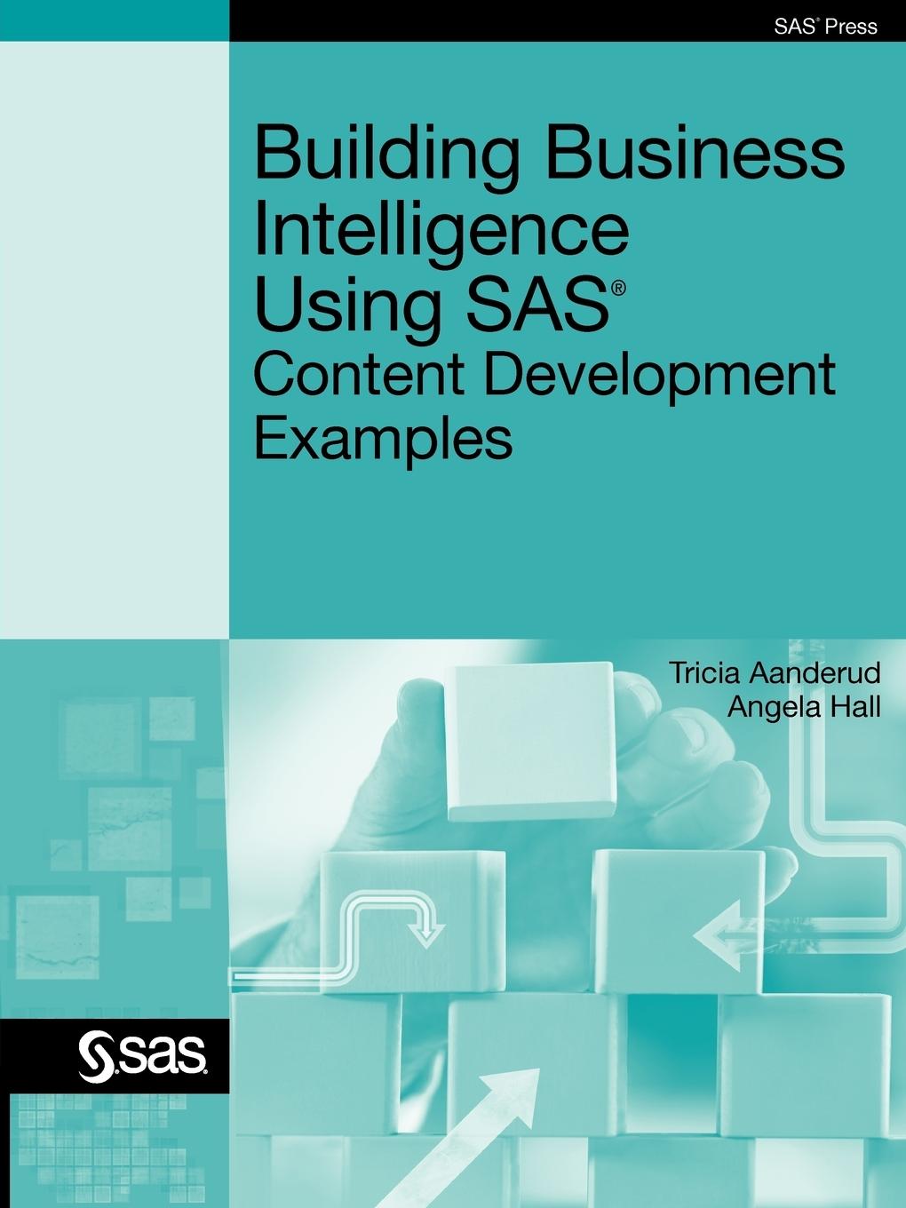 Building Business Intelligence Using SAS