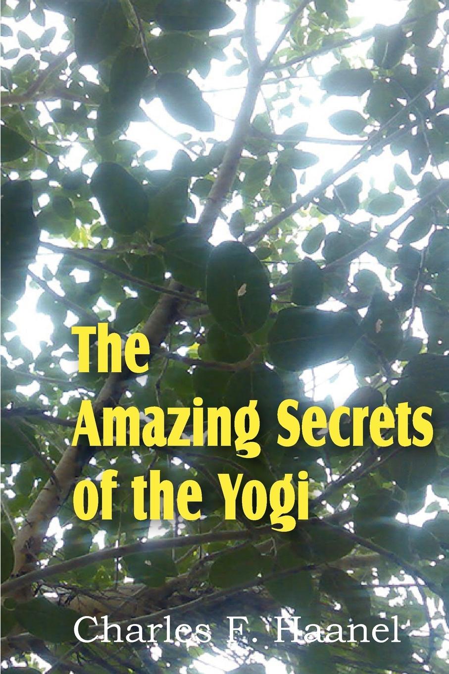 The Amazing Secrets of the Yogi