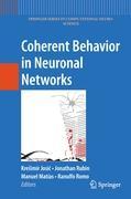 Coherent Behavior in Neuronal Networks