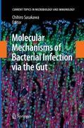 Molecular Mechanisms of Bacterial Infection via the Gut