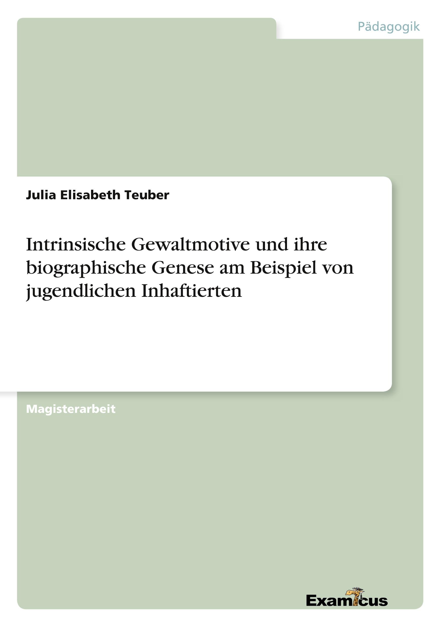 Intrinsische Gewaltmotive und ihre biographische Genese am Beispiel von jugendlichen Inhaftierten