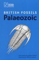 British Palaeozoic Fossils