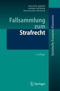 Fallsammlung zum Strafrecht