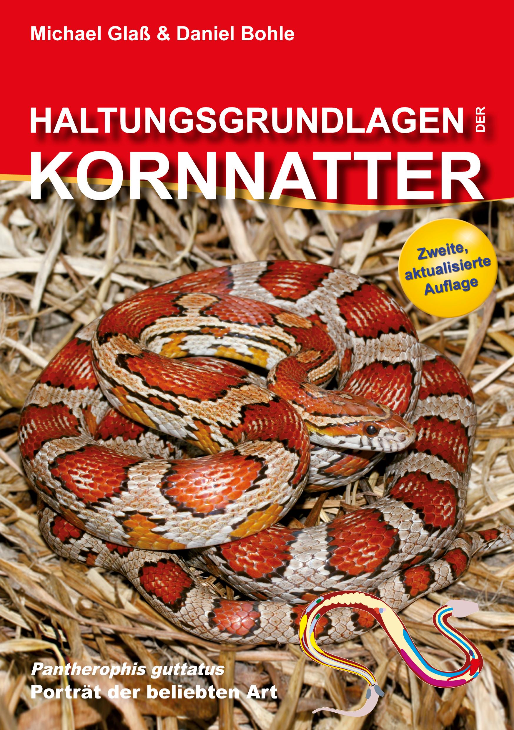 Haltungsgrundlagen der Kornnatter