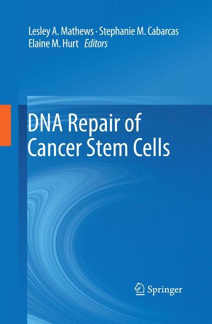 DNA Repair of Cancer Stem Cells